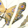 Watercolor Painting 'Yellow Butterfly'